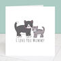 Mummy Cat And Kitten Personalised Card, thumbnail 1 of 4