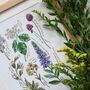 Bristol Native Plants Art Print, thumbnail 2 of 2
