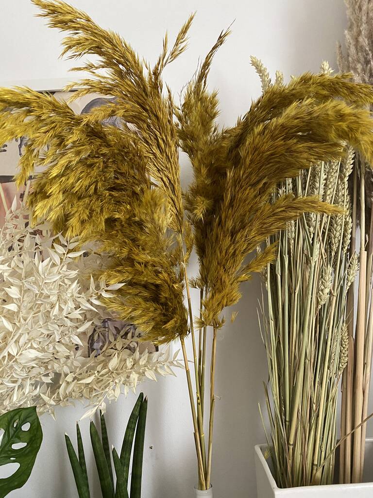 Dried Yellow Pampas Grass Bunch, 1 of 4