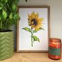 Hand Painted Watercolour Sunflower Print, thumbnail 1 of 8