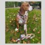 Patchwork/Plaid Dog Collar, thumbnail 6 of 6