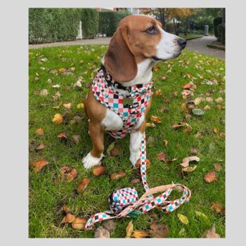 Patchwork/Plaid Dog Collar, 6 of 6