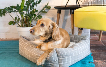Luxury Grey Patterned Dog Bed, 4 of 6