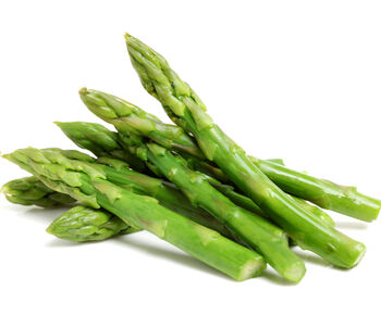 Vegetable Plants Asparagus 'Portlim' Two X 2 L Pots, 5 of 5
