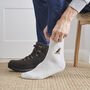 Airedale / Welsh Terrier Dog Walking Socks, thumbnail 1 of 12