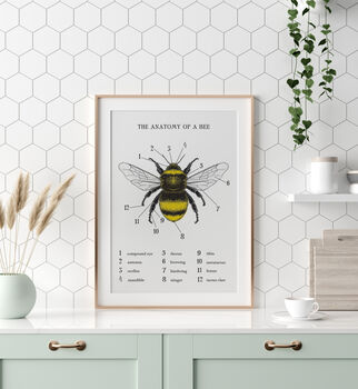 Anatomy Of A Bee Print, 5 of 11