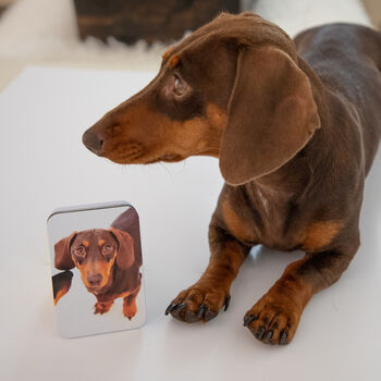 Personalised Photo Dog Pet Treat Tin, 5 of 10
