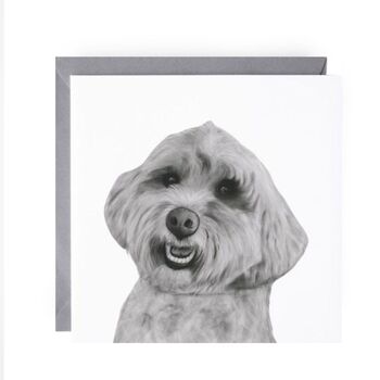 Adorable Cockerpoo Dog Greeting Card, 2 of 6