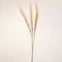 G Decor Extra Large Artificial Wild Grass Reed Stem, thumbnail 3 of 6
