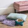 Embroidered Pet Bed And Bone Gift Set Teal Velvet, thumbnail 5 of 9