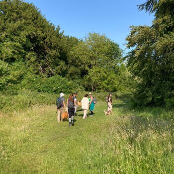 Brighton Nature Foraging And Seasonal Feast Experience For Two, 6 of 7