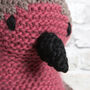 Giant Erin The Robin Advanced Knitting Kit, thumbnail 6 of 10