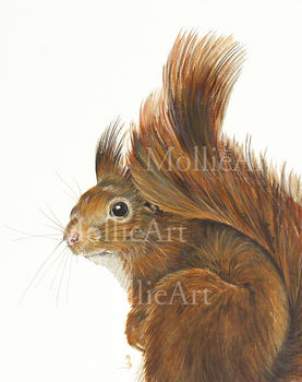 English Red Squirrel, Print Of Original Painting, 2 of 3