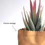 Personalised Mini Leather Paper Bag Planter With Custom Message And Artificial Aloe Vera, thumbnail 6 of 7