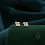 Sterling Silver Cz Bubble Cluster Stud Earrings, thumbnail 4 of 12