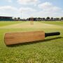 Plain Mini 12 Inch Signature Cricket Bat, thumbnail 1 of 4