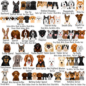 Premium Dog Breed Realistic Illustrations Heart ID Tag, 8 of 10