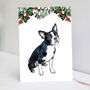 Boston Terrier Christmas Card, thumbnail 3 of 7