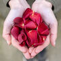 Dried Rose Petals And Hydrangea Petals, thumbnail 5 of 8