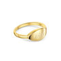 Elliptical Band Ring 18 K Gold Plated Solid Silver, thumbnail 1 of 8