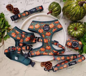 Harvest Pumpkin Patch Dog Harness, 5 of 5