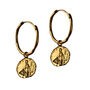 Aethra Gold Earrings, thumbnail 3 of 8
