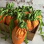Easter Bunny Luxury Carrot Gift Bag Personalised, thumbnail 2 of 3