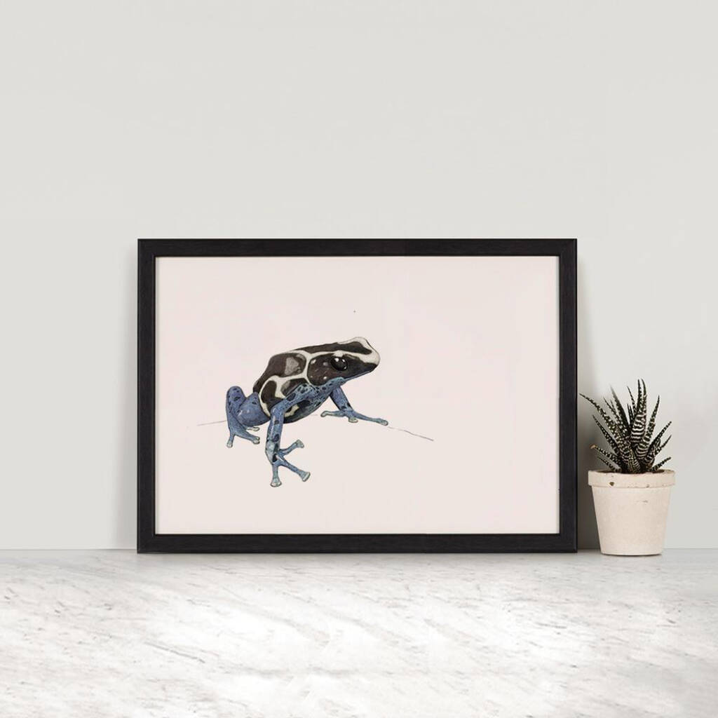 Poison Dart Frog Landscape By Ben Rothery Illustrator ...