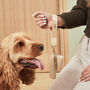 Personalised Dog Walking Accessory Pouch, thumbnail 4 of 4