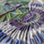 Passionflower Embroidery Pattern For Beginners, thumbnail 4 of 8