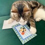 Cats And Books Postcard Set | Pack Of Six, thumbnail 6 of 7