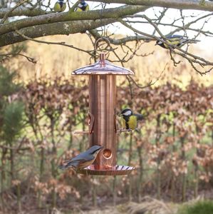 Copper Seed Bird Feeder By Garden Selections Notonthehighstreet Com