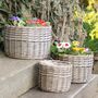 Set Of Three Round Woven Wicker Planters, thumbnail 1 of 8