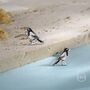 Sterling Silver Very Small Sterling Silver Magpie Bird Stud Earrings, thumbnail 2 of 11