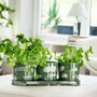 Serax Trio Of Designer Hand Glazed Herb Pots On A Tray, thumbnail 1 of 5