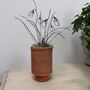 Wire Snowdrops In Handmade Terracotta Pot, thumbnail 4 of 8