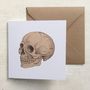 Anatomical Skull Illustration Greetings Card, thumbnail 2 of 4
