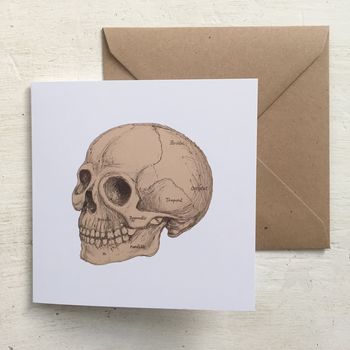 Anatomical Skull Illustration Greetings Card, 2 of 4