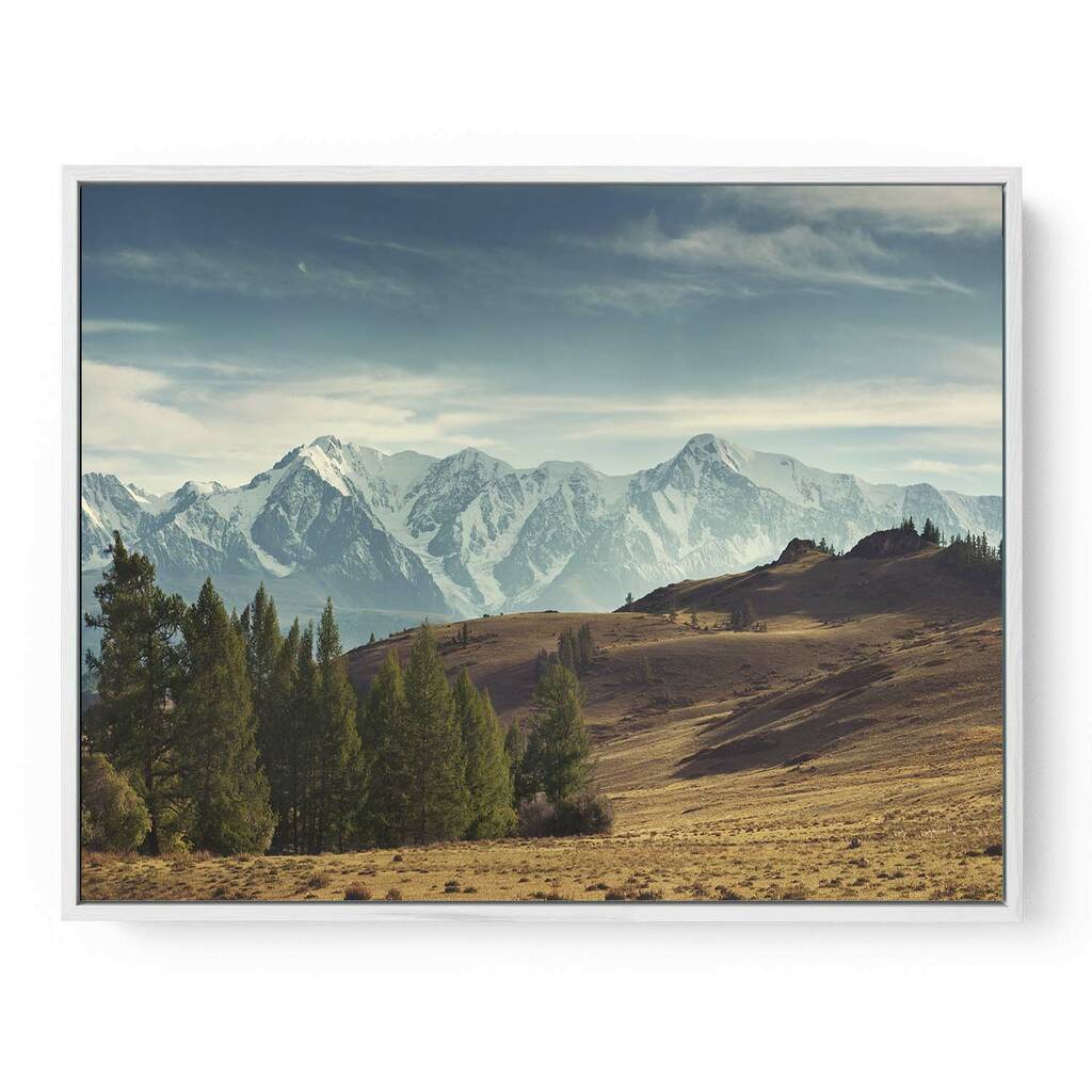 Forest Mountain View Canvas Art Print By Abstract House