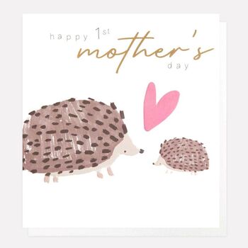 1st Mother's Day Mummy Self Care Gift Set, 6 of 12