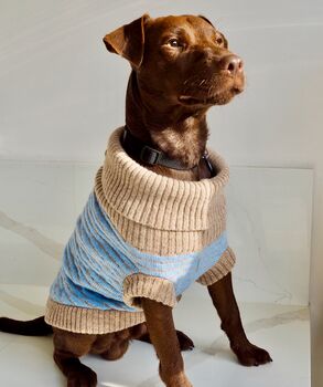 Marlee Dog Jumper And Matching Scarf Set In Sky Blue, 5 of 9