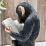 Monkey Reading Newspaper Ornament – Statue Figurine, thumbnail 6 of 9