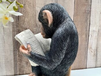 Monkey Reading Newspaper Ornament – Statue Figurine, 6 of 9