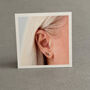 You Are Spicy Silver Chilli Stud Earrings, thumbnail 5 of 7