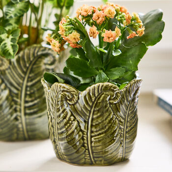 Set Of Two Botanical Fern Leaf Planters, 4 of 4