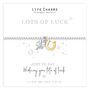 Just To Say Bracelet Gift, Just To Say Lots Of Luck Clover And Horseshoe Charm Bracelet Gift, thumbnail 1 of 3