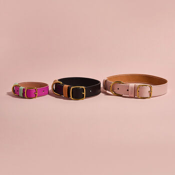 Luxury Leather Dog Collar, 7 of 12