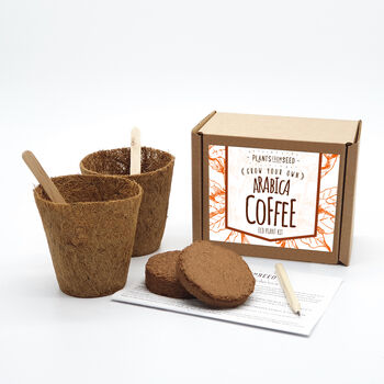 Eco Grow Your Own Coffee Plant Kit, 2 of 3