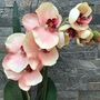 Peach Pink Luxury Silk Orchid Mothers Day Gift, thumbnail 3 of 7