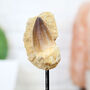 Mosasaurus Tooth In Matrix Bespoke Solid Oak Stand Real Authentic Dinosaur Fossil Museum Quality Home Decor Interior Design Display Gift Ornament, thumbnail 2 of 4